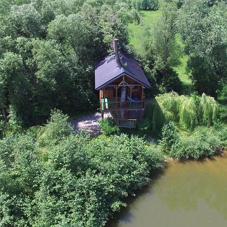 Cuibul Vulturilor - Casuta In Copac Villa Moisei Luaran gambar