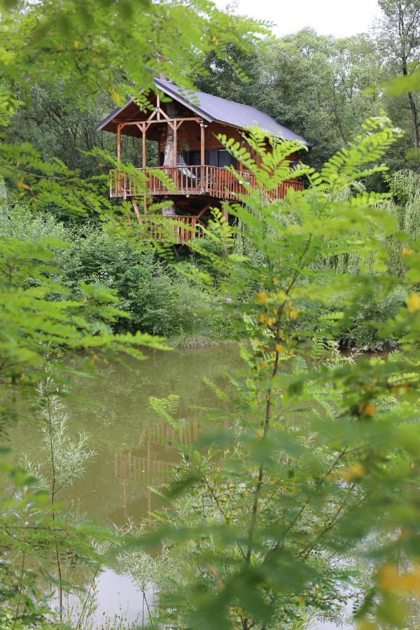 Cuibul Vulturilor - Casuta In Copac Villa Moisei Luaran gambar