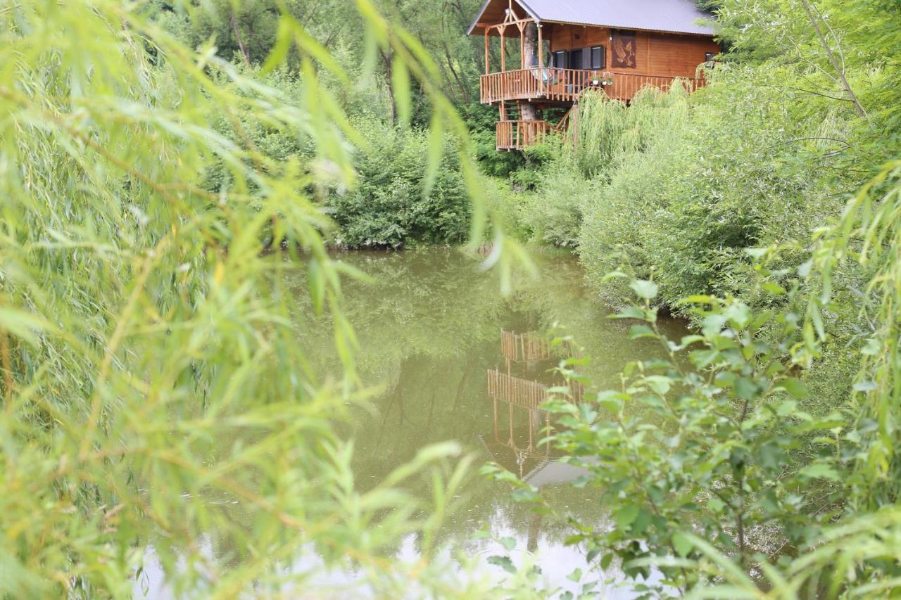 Cuibul Vulturilor - Casuta In Copac Villa Moisei Luaran gambar