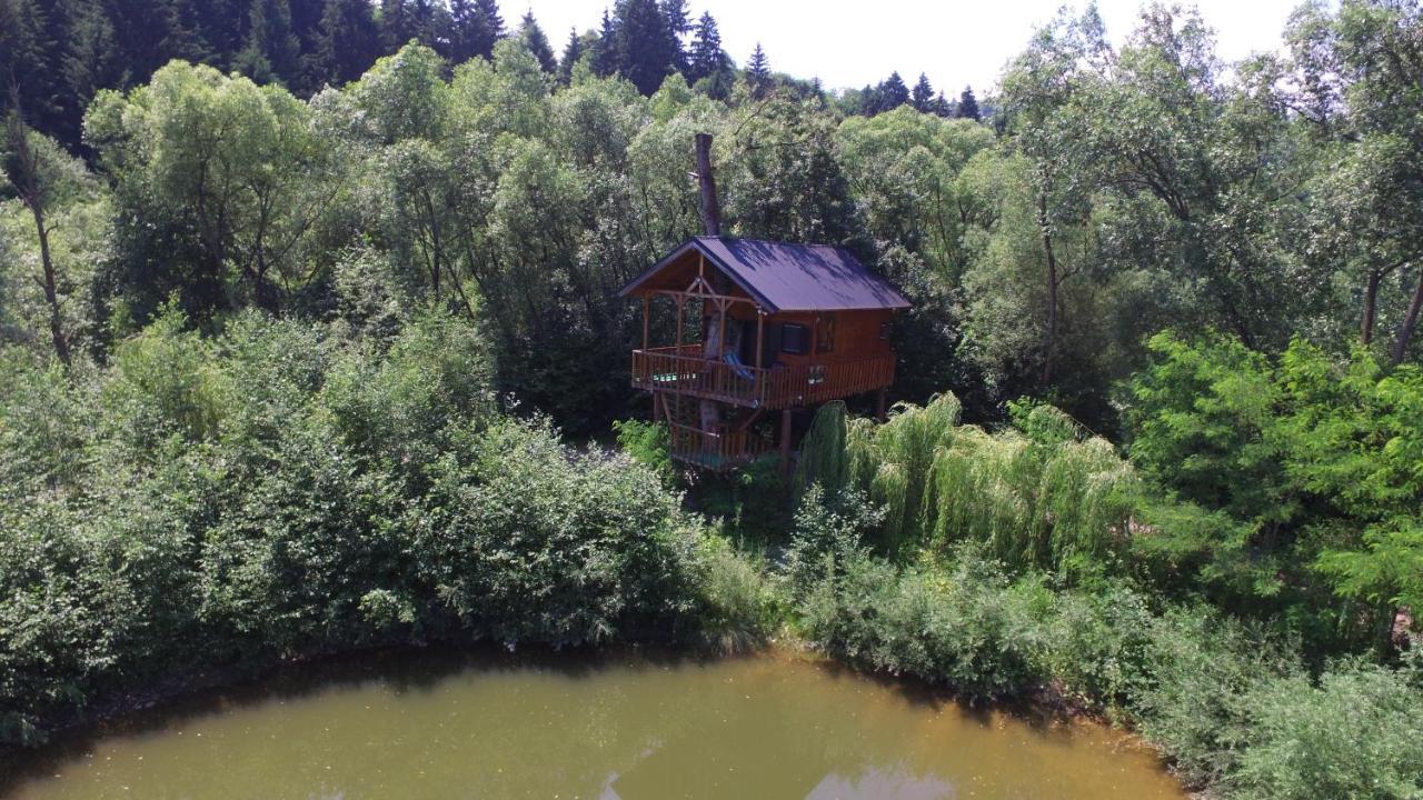 Cuibul Vulturilor - Casuta In Copac Villa Moisei Luaran gambar