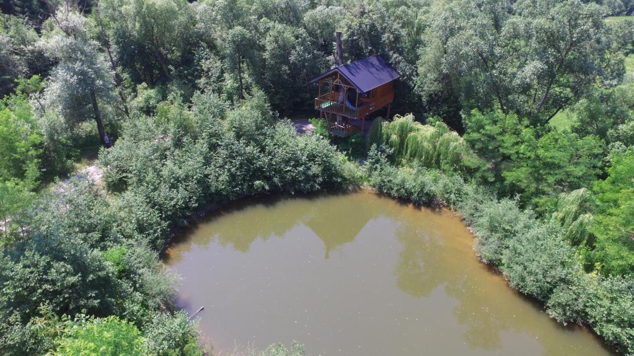 Cuibul Vulturilor - Casuta In Copac Villa Moisei Luaran gambar