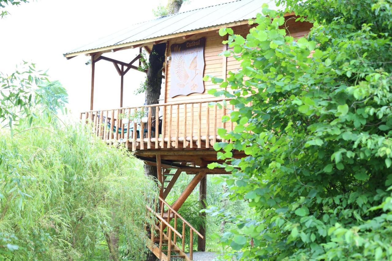 Cuibul Vulturilor - Casuta In Copac Villa Moisei Luaran gambar