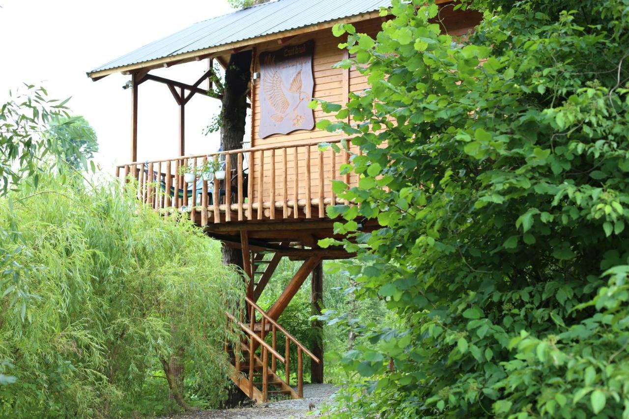 Cuibul Vulturilor - Casuta In Copac Villa Moisei Luaran gambar