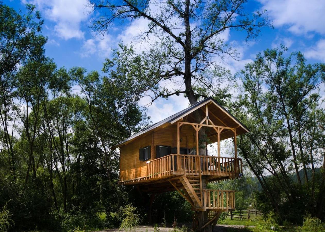 Cuibul Vulturilor - Casuta In Copac Villa Moisei Luaran gambar